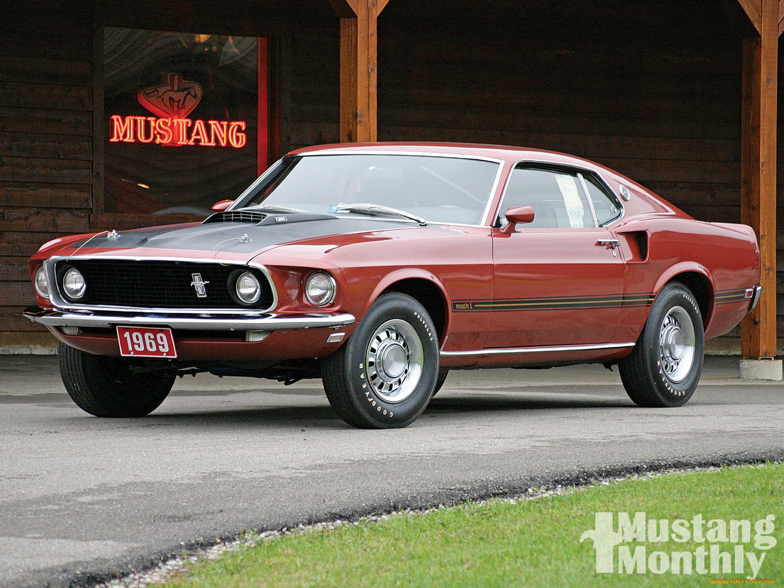 , mustang